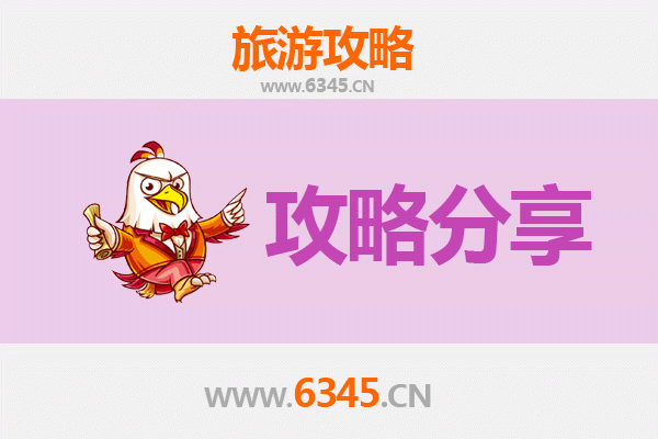 朔州山阴旅游攻略：跟团与自由行深度对比